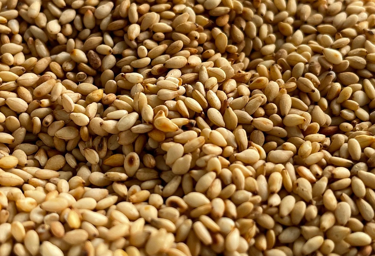 entdecken sie die welt der superfoods! erfahren sie mehr über gesunde und nährstoffreiche lebensmittel, ihre vorteile und wie sie sie einfach in ihren alltag integrieren können.